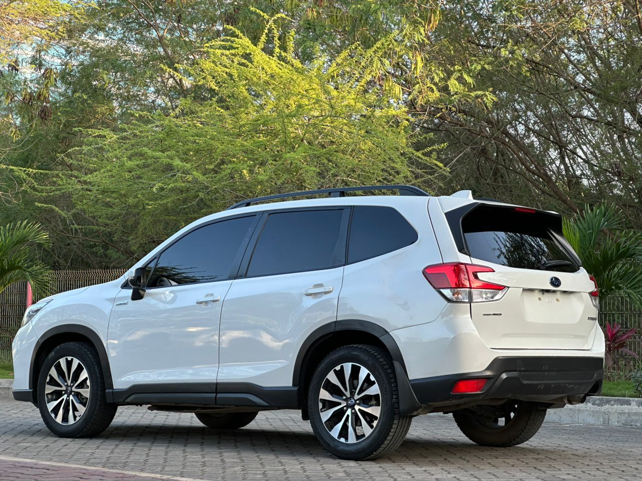 FORESTER thumbnail 7